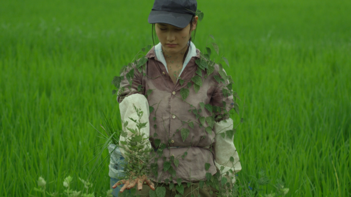 1589425774375397.png 微信圖片_20200514110817.png