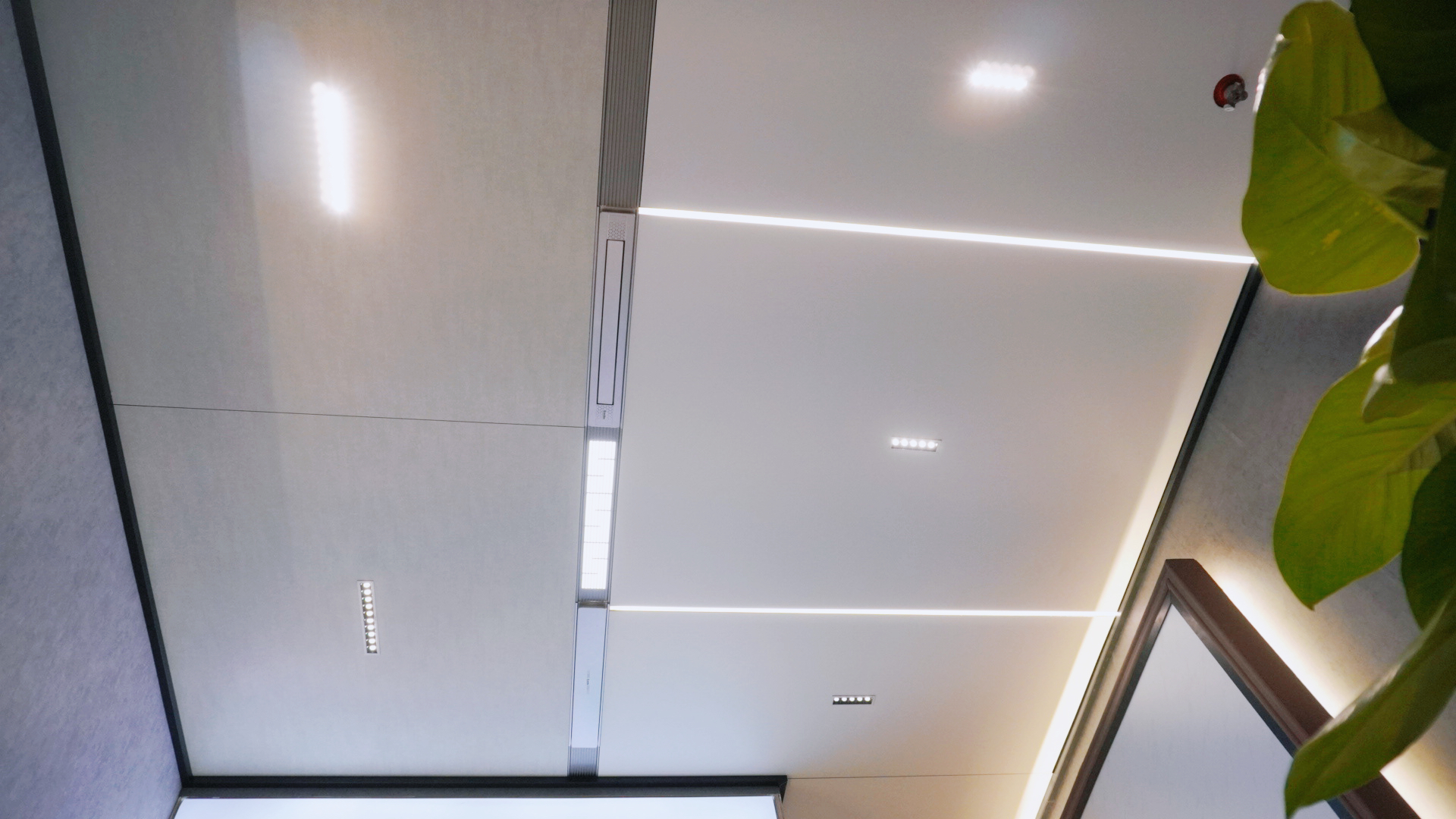 1617270348506365.jpg 13.jpg