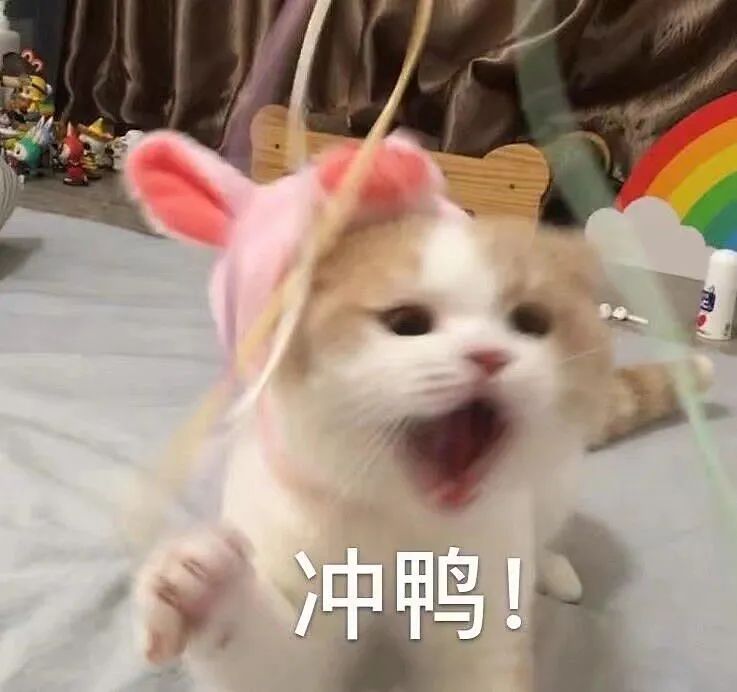 1626401491586054.jpg 圖6.jpg